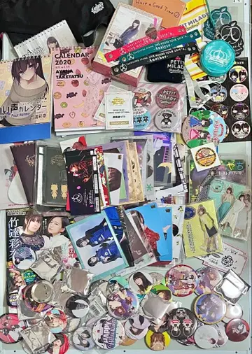 타케타츠 아야나 푸치 레이디 묶음 판매