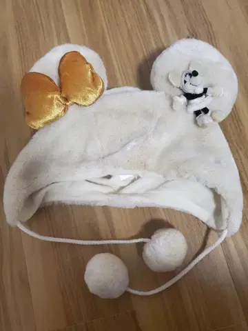 디즈니 미니 팬캡