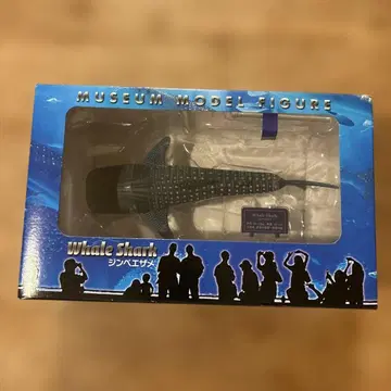 오키나와 츄라우미 수족관 오리지널 징베에 상어