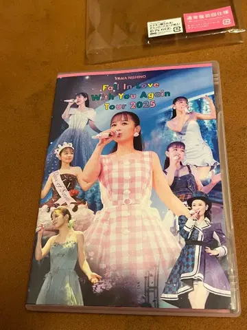 니시노 카나 Fall In Love With You Again Tour