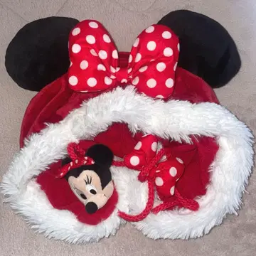 디즈니 미니 팬캡