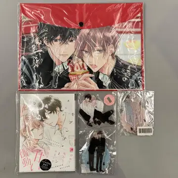 세븐틴 시럽스 아라타 롯카 묶음 판매