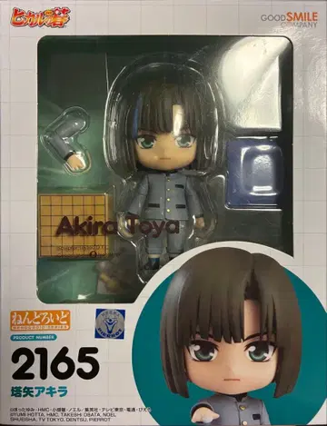 히카루의 바둑 타야 아키라 2165