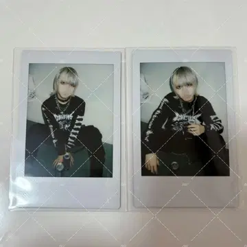 TENRIN 의 모아차차 런치 폴라로이드