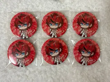 메테오라 기념 굿즈 로제 기본 캔뱃지 6개