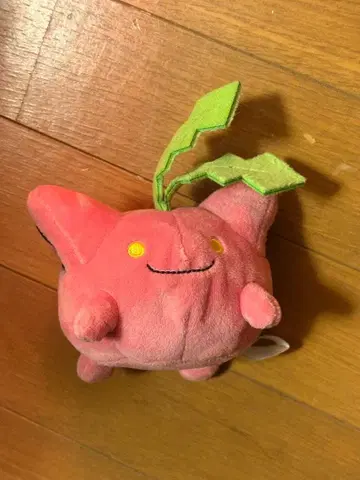 포켓몬 fit 하네코