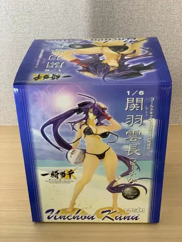 개봉품 일기당천 관우 비치ver. 블랙 AIZU