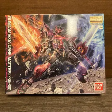 건담 엑시아 다크매터 프라모델 PPGN-001