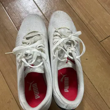 Puma 화이트 스니커즈