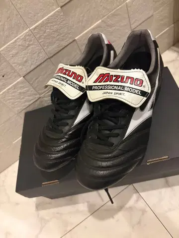 모렐리아 2 재팬