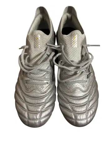 모렐리아 네오 4 베타 재팬