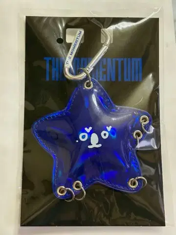 NCT127 정우 불가사리 별 키링