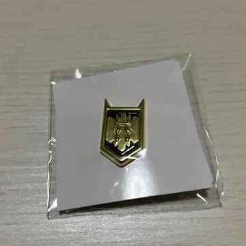 이루마 군 핀 배지 8 케토