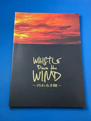 뮤지컬 더러움 없는 눈동자 팜플렛 미우라 하루마 이쿠타 에리카