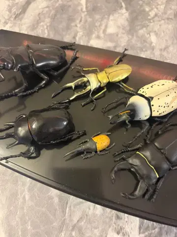 다양한 곤충 9체 묶음 세트