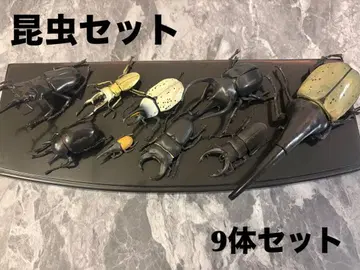 다양한 곤충 9체 묶음 세트