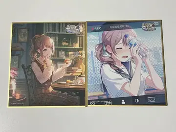 프로세카 모치즈키 호나미 색지 52A