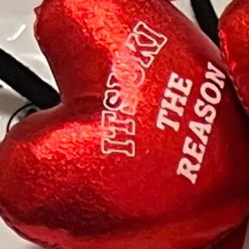 후지와라 이츠키 머리끈 THE REASON EXILE