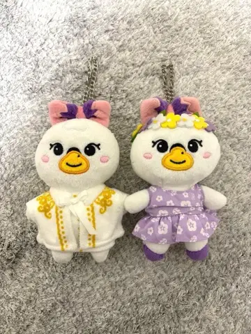 NiziU 마야 MAYA NIZOO 마얀 MAYAN 백참