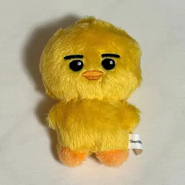 ENHYPEN 니키 봉제 인형 10cm 인형