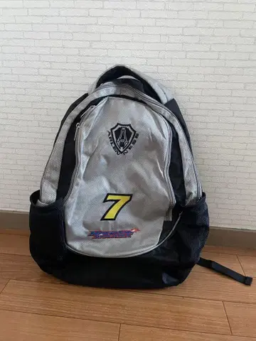 Arlene Ness ( 아렌 네스 ) 백팩