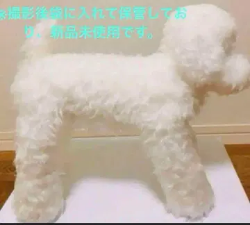 니니아앤키노 토이 푸들 봉제 인형 화이트