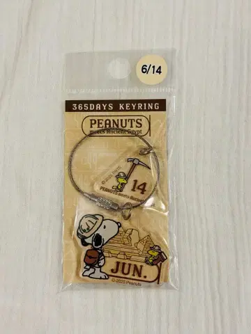스누피 후지이 카제 생일 6월 14일 키링 한정품 SNOOPY