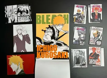 BLEACH 블리치 쿠로사키 이치고 10점