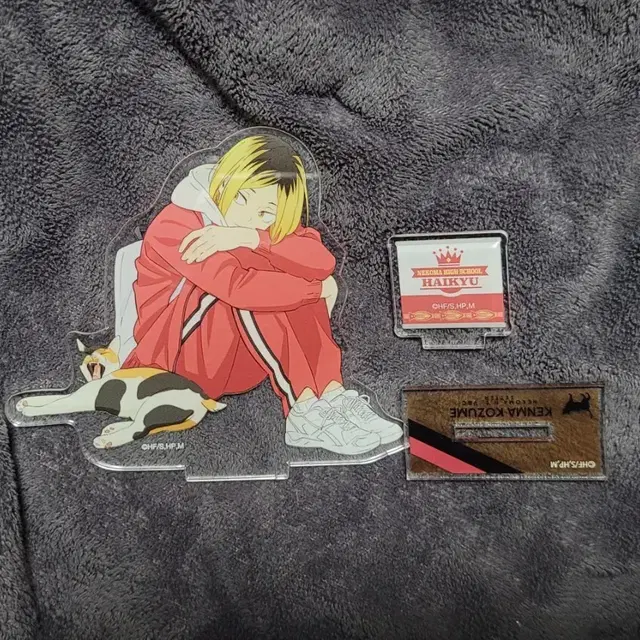 하이큐 켄마 고양이 아크릴 스탠드