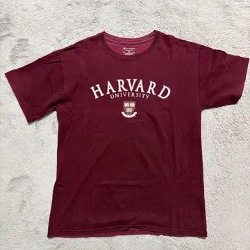 Champion HARVARD UNIVERSITY 티셔츠 M