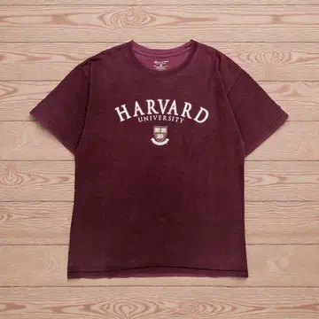 Champion HARVARD UNIVERSITY 티셔츠 M