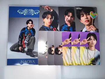 원엔 쿠사카와 나오야 NAOYA 트레이딩 카드 AMAZONIA