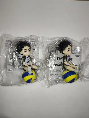 하이큐 푸치토 노리마스 vol.4 아카아시 케이지 2개