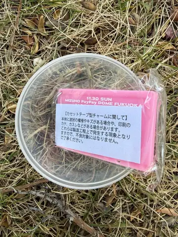 B'z LIVE-GYM 2025 -FYOP- 가챠 11/30 카세트 참