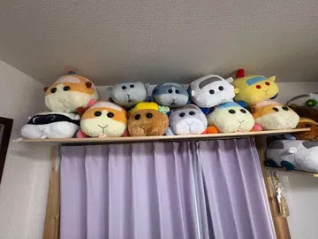 모루카 봉제 인형 세트