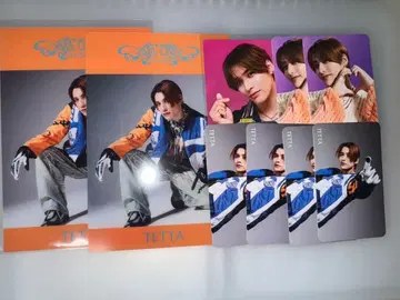 원엔 관철태 TETTA 트레이딩 카드 AMAZONIA