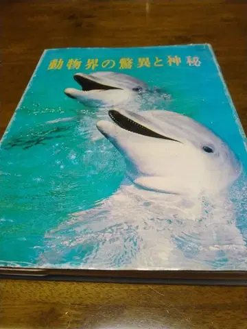 동물계의 경이와 신비 1989년 출판