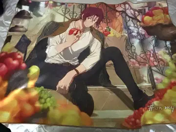 Free! on my day off 라이트 담요 마츠오카 린