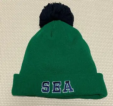 GODSELECTION XXX x WDS 폼폼 비니 니트 모자