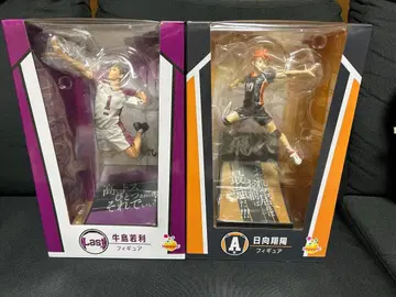 하이큐 제일복권 우시지마 와카토시 히나타 쇼요 피규어 세트