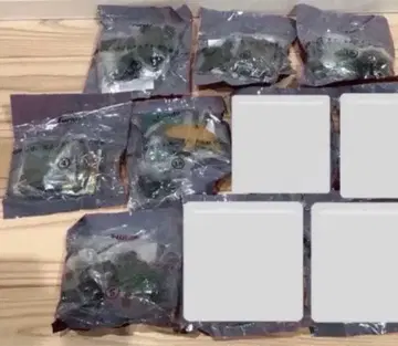 후루타 피규어 대괴수 가메라 모듬 6종류