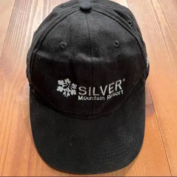 데드스탁 USA 기업 로고 빈티지 캡 90s 리복 블랙