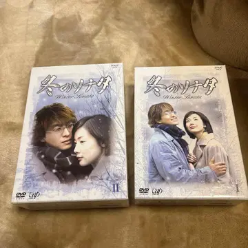 겨울연가 DVD 박스 세트