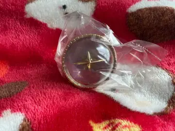 프로세카 세카라이 5th 링 라이트 린 라이트 미즈키