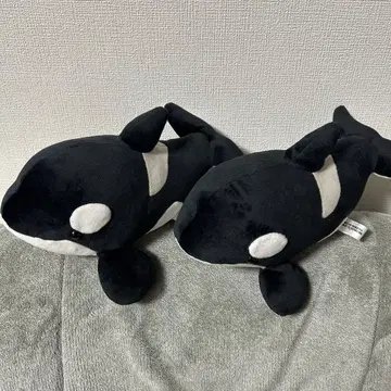 범고래 봉제 인형 나고야항 수족관