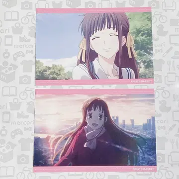 후르츠 바스켓 후르바 엽서