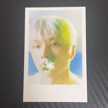 ENHYPEN orangeblood 알라딘 제이 트레이딩 카드