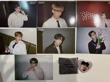 straykids 엑시비션 전시회 포토 카드 세트 캔뱃지