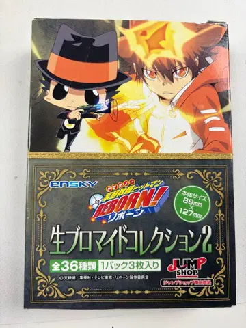 가정교사 히트맨 REBORN! 생 프로마이드 컬렉션 2