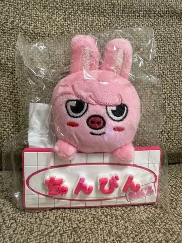 straykids TOY WORLD 네임 백참 DWAEKKI